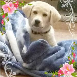 Meet your Posher, Gail